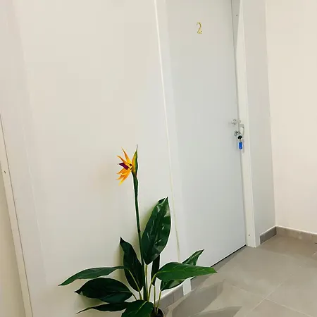 Micrea House Lido * アルゲーロ